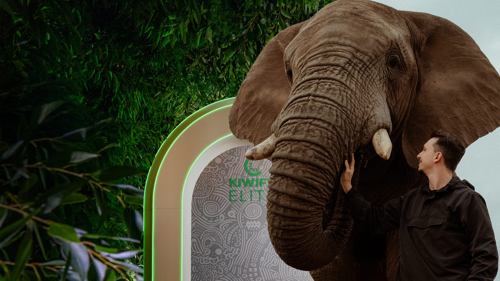 Kiwify Elite África do Sul